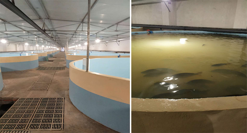 Haiwell(海為)PLC/HMI/云/手機(jī)APP在現(xiàn)代水產(chǎn)農(nóng)業(yè)養(yǎng)殖上的應(yīng)用